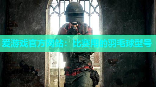 爱游戏官方网站：比赛用的羽毛球型号