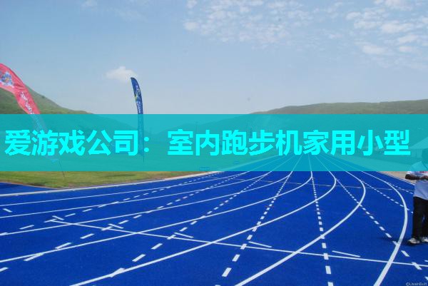 爱游戏公司：室内跑步机家用小型