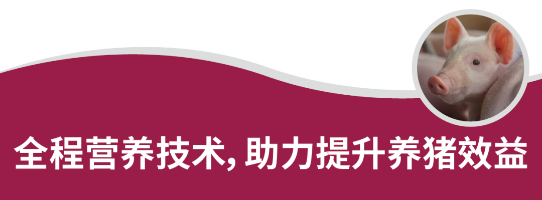 7093fa65970f42b