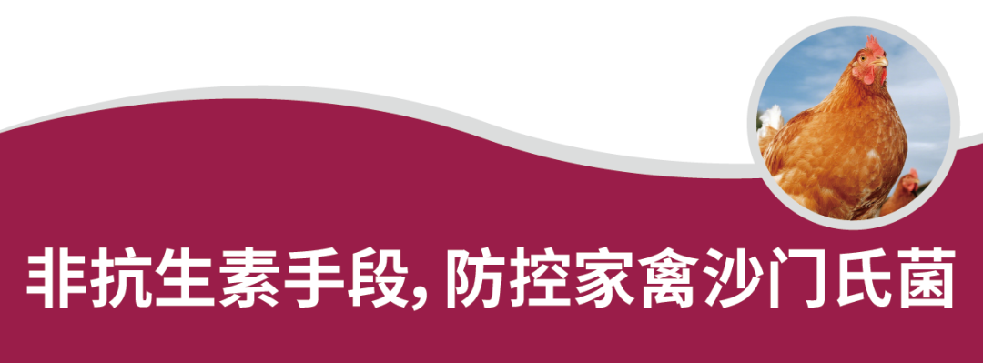 9521cde00a7457e